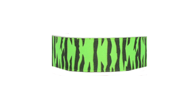 neon-green-zebra